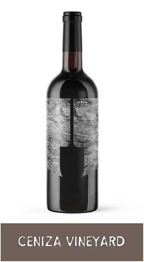 2022 Cabernet Sauvignon
Coombsville, Napa Valley
Ceniza Vineyard photo