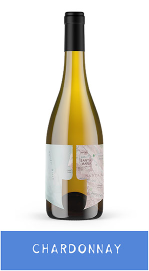 2022 Chardonnay
Santa Maria Valley
Bien Nacido, Block I photo