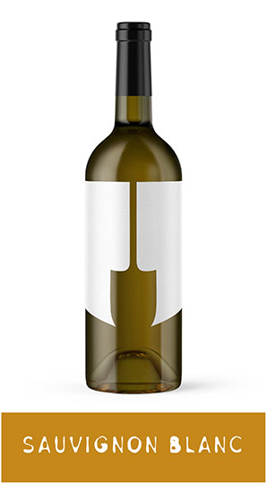 2020 Sauvignon Blanc
Napa Valley photo